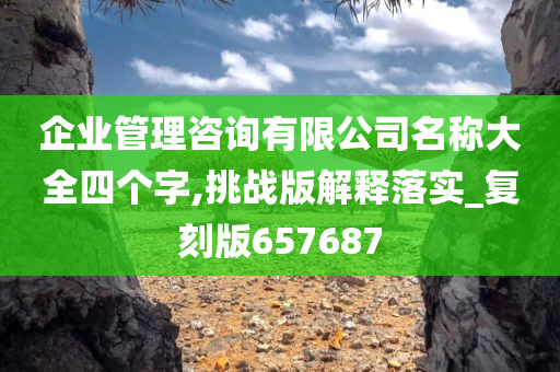 企业管理咨询有限公司名称大全四个字,挑战版解释落实_复刻版657687