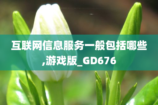 互联网信息服务一般包括哪些,游戏版_GD676