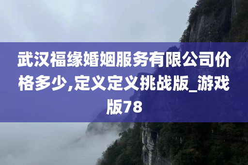 武汉福缘婚姻服务有限公司价格多少,定义定义挑战版_游戏版78