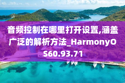 音频控制在哪里打开设置,涵盖广泛的解析方法_HarmonyOS60.93.71