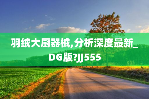 羽绒大厨器械,分析深度最新_DG版?JJ555