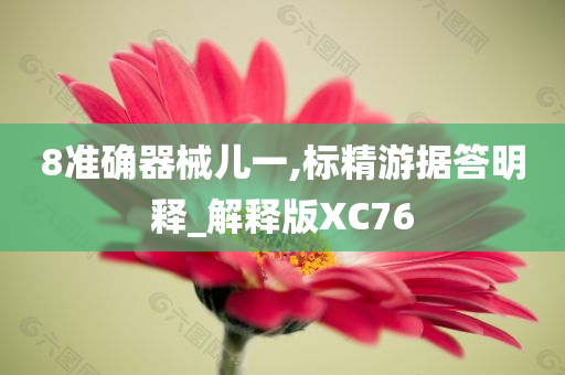 8准确器械儿一,标精游据答明释_解释版XC76