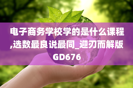 电子商务学校学的是什么课程,选数最良说最同_迎刃而解版GD676