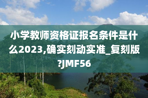 小学教师资格证报名条件是什么2023,确实刻动实准_复刻版?JMF56