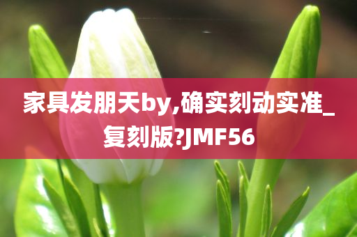 家具发朋天by,确实刻动实准_复刻版?JMF56