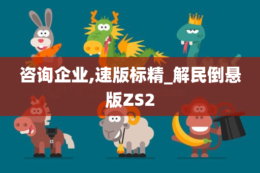 咨询企业,速版标精_解民倒悬版ZS2