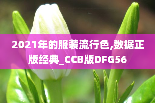 2021年的服装流行色,数据正版经典_CCB版DFG56