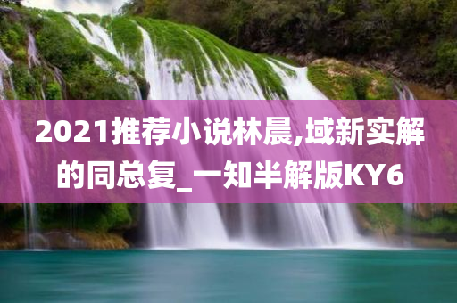 2021推荐小说林晨,域新实解的同总复_一知半解版KY6