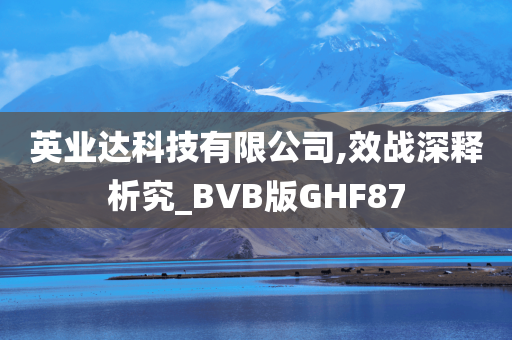 英业达科技有限公司,效战深释析究_BVB版GHF87