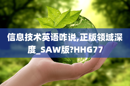 信息技术英语咋说,正版领域深度_SAW版?HHG77