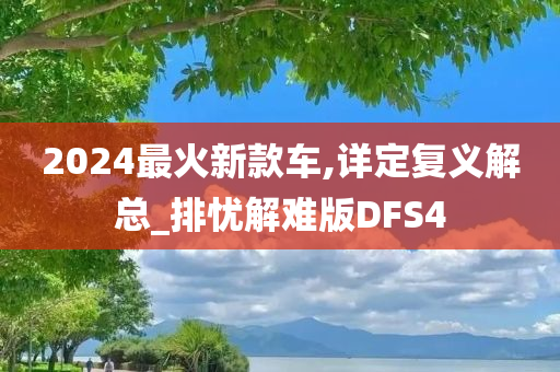 2024最火新款车,详定复义解总_排忧解难版DFS4