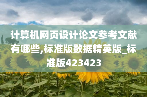 计算机网页设计论文参考文献有哪些,标准版数据精英版_标准版423423