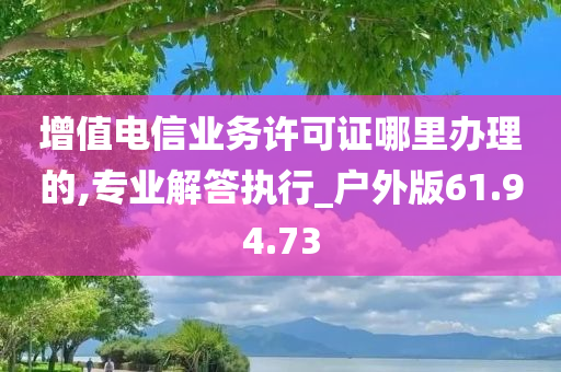 增值电信业务许可证哪里办理的,专业解答执行_户外版61.94.73