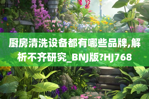 厨房清洗设备都有哪些品牌,解析不齐研究_BNJ版?HJ768