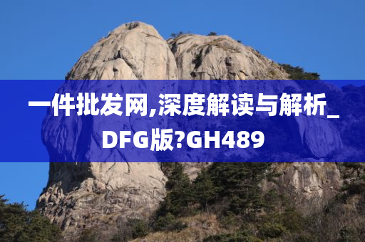 一件批发网,深度解读与解析_DFG版?GH489