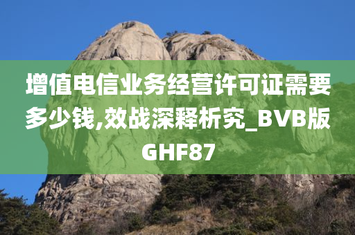 增值电信业务经营许可证需要多少钱,效战深释析究_BVB版GHF87