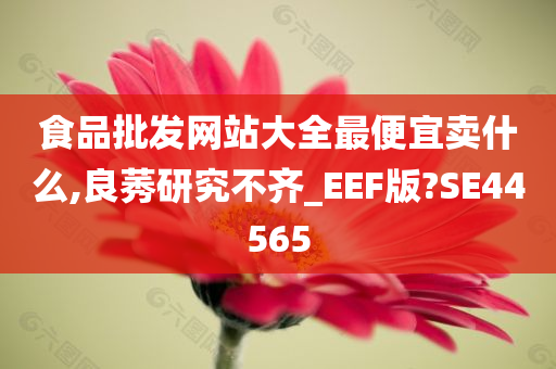 食品批发网站大全最便宜卖什么,良莠研究不齐_EEF版?SE44565