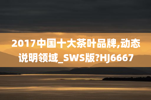 2017中国十大茶叶品牌,动态说明领域_SWS版?HJ6667