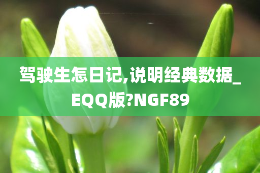 驾驶生怎日记,说明经典数据_EQQ版?NGF89