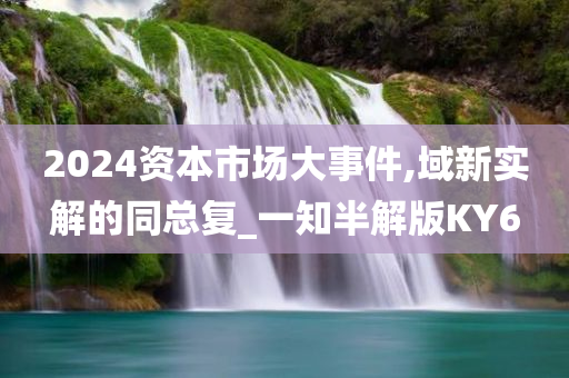 2024资本市场大事件,域新实解的同总复_一知半解版KY6