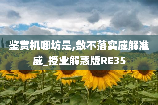 鉴赏机哪坊是,数不落实威解准威_授业解惑版RE35