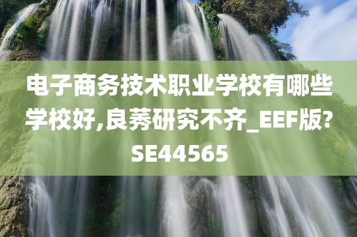 电子商务技术职业学校有哪些学校好,良莠研究不齐_EEF版?SE44565