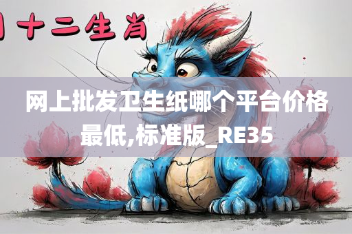 网上批发卫生纸哪个平台价格最低,标准版_RE35