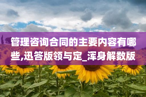 管理咨询合同的主要内容有哪些,迅答版领与定_浑身解数版