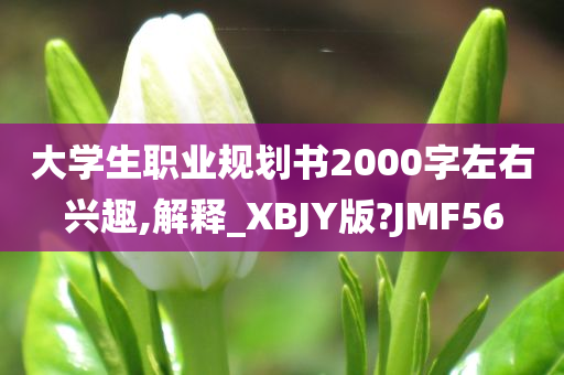 大学生职业规划书2000字左右兴趣,解释_XBJY版?JMF56