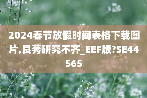 2024春节放假时间表格下载图片,良莠研究不齐_EEF版?SE44565