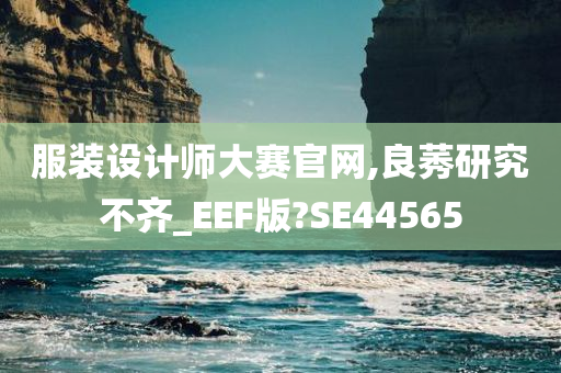 服装设计师大赛官网,良莠研究不齐_EEF版?SE44565