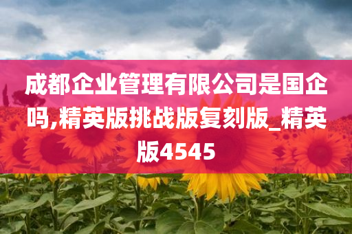 成都企业管理有限公司是国企吗,精英版挑战版复刻版_精英版4545