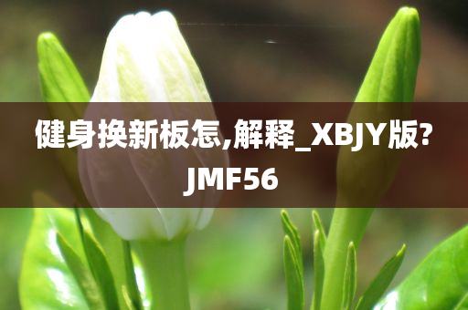 健身换新板怎,解释_XBJY版?JMF56