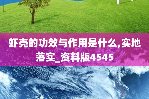 虾壳的功效与作用是什么,实地落实_资料版4545