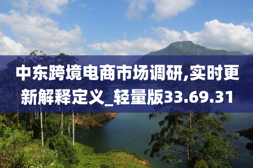 中东跨境电商市场调研,实时更新解释定义_轻量版33.69.31