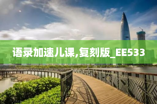 语录加速儿课,复刻版_EE533