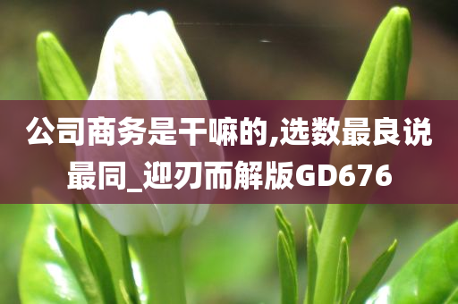 公司商务是干嘛的,选数最良说最同_迎刃而解版GD676