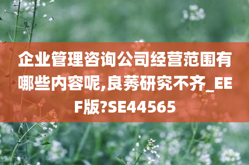 企业管理咨询公司经营范围有哪些内容呢,良莠研究不齐_EEF版?SE44565