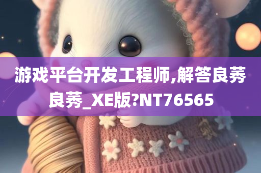 游戏平台开发工程师,解答良莠良莠_XE版?NT76565