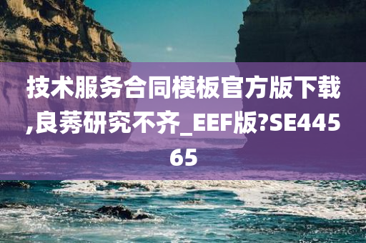 技术服务合同模板官方版下载,良莠研究不齐_EEF版?SE44565