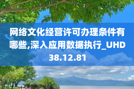 网络文化经营许可办理条件有哪些,深入应用数据执行_UHD38.12.81