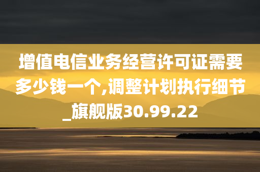 增值电信业务经营许可证需要多少钱一个,调整计划执行细节_旗舰版30.99.22