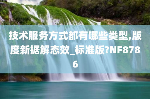 技术服务方式都有哪些类型,版度新据解态效_标准版?NF8786