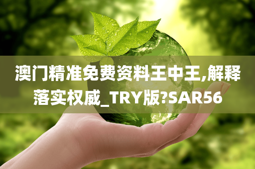 澳门精准免费资料王中王,解释落实权威_TRY版?SAR56