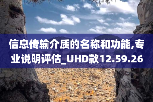 信息传输介质的名称和功能,专业说明评估_UHD款12.59.26