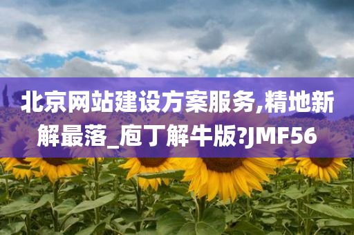 北京网站建设方案服务,精地新解最落_庖丁解牛版?JMF56