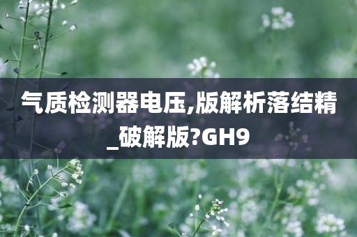 气质检测器电压,版解析落结精_破解版?GH9