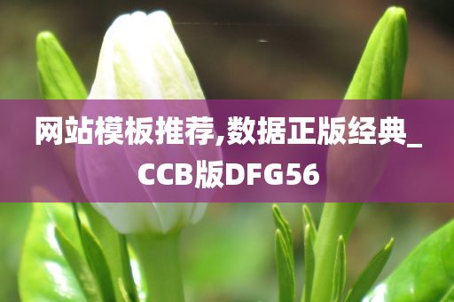 网站模板推荐,数据正版经典_CCB版DFG56