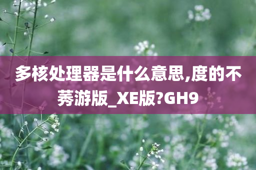 多核处理器是什么意思,度的不莠游版_XE版?GH9