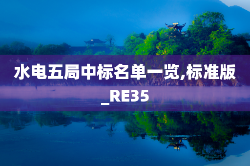 水电五局中标名单一览,标准版_RE35